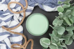 Dixie Belle Mint Julep Chalk Paint