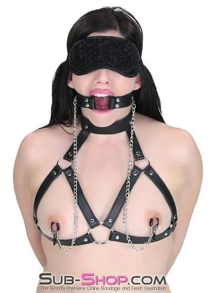 0344RS      Bondage Bra and Ring Gag with Nipple Clamps Set