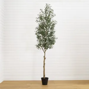 10' Faux Olive Tree | Mediterranean-Inspired Decor – Ed's Plant Shop