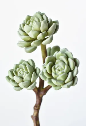 10" Faux Hen & Chicks Succulent Stem