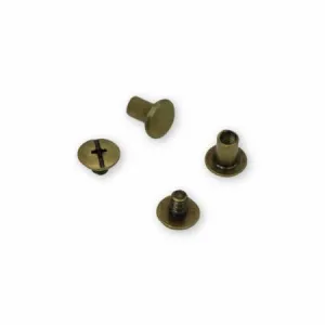 12 Medium Chicago Screws 8mm Antique - Sallie Tomato