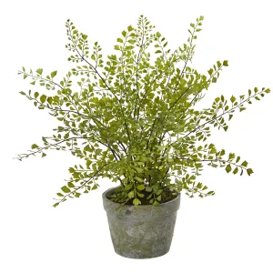 13" Artificial Maiden Hair Plant in Decorative Planter - Low Maintenance, Life-Like & Vibrant Silk Plants For Busy People.