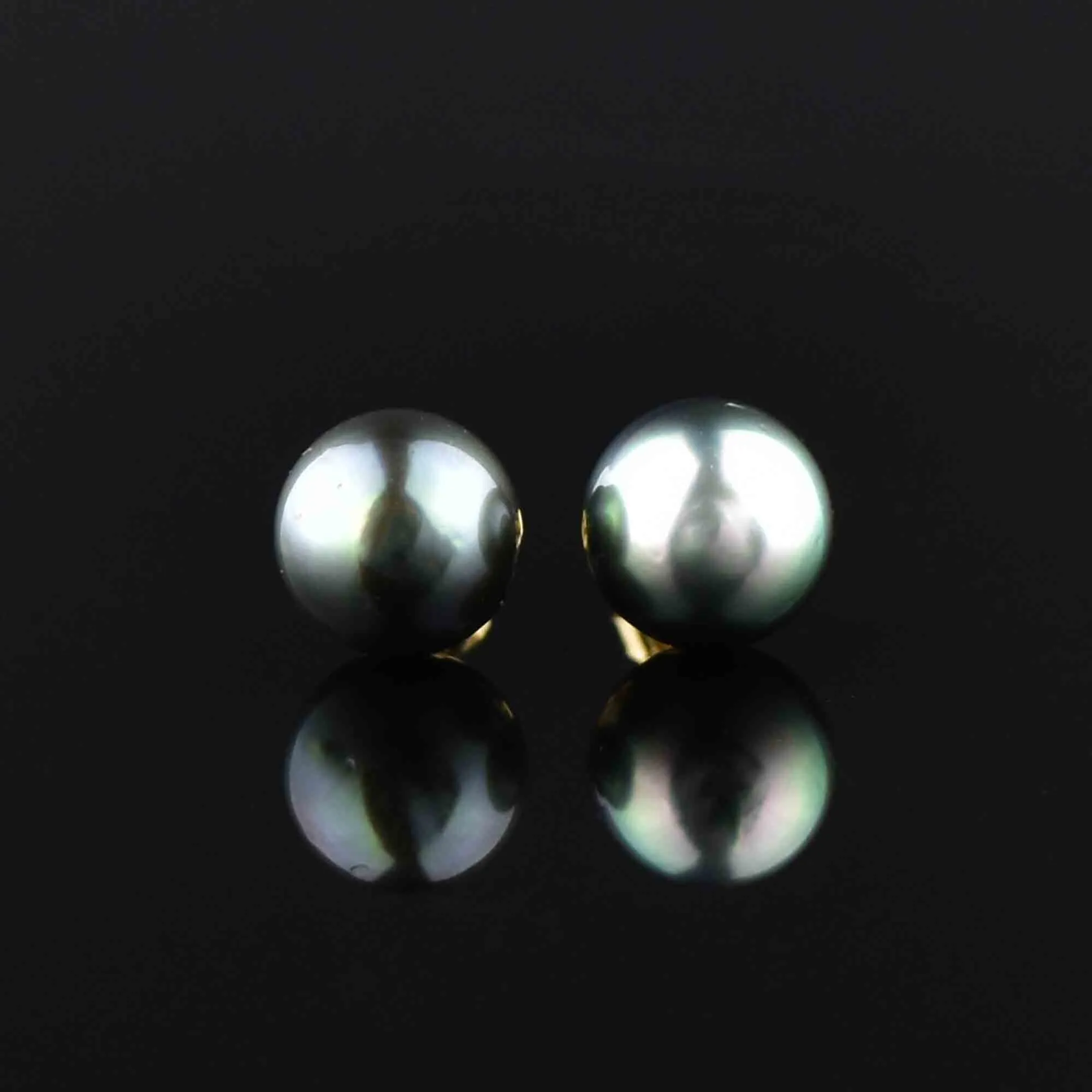 14K Gold Black Pearl Stud Earrings