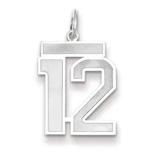 14k White Gold Satin Brush Finish Medium Size Number 12 Charm Pendant