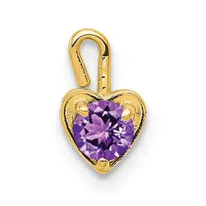 14k Yellow Gold February Birthstone Heart Charm