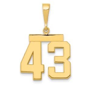 14k Yellow Gold Medium Polished Number 43 Charm