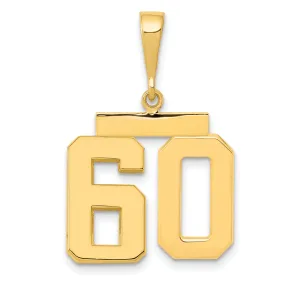 14k Yellow Gold Medium Polished Number 60 Charm