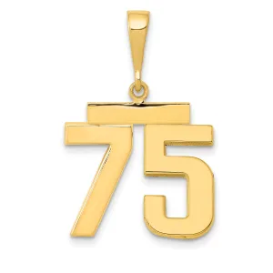 14k Yellow Gold Medium Polished Number 75 Charm