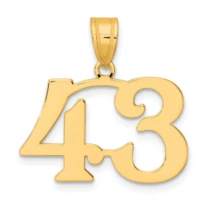 14k Yellow Gold Polished Finish Number 43 Charm Pendant