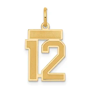 14k Yellow Gold Satin Brush Finish Small Size Number 12 Charm Pendant