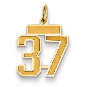 14k Yellow Gold Satin Brush Finish Small Size Number 37 Charm Pendant