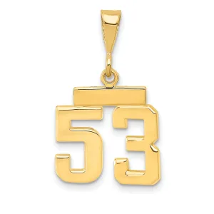 14k yellow gold small polished number 53 charm