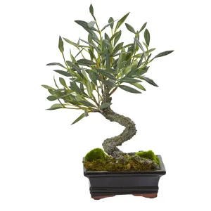 14" Artificial Mini Olive Bonsai Tree - Low Maintenance, Life-Like & Vibrant Silk Trees For Busy People.