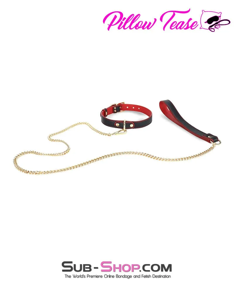 1662DL      Black and Red Slimline Collar with Gold Hardware and Leash