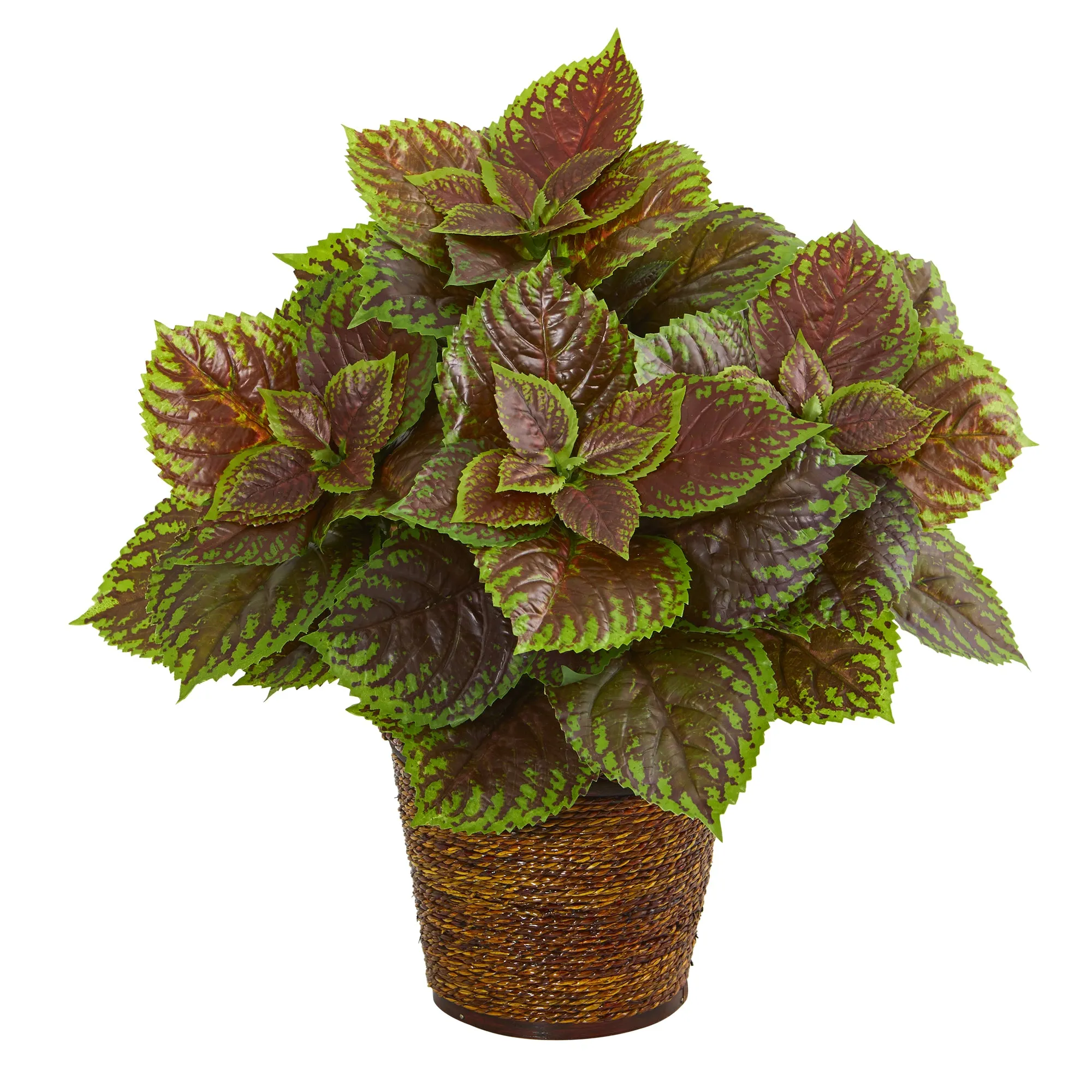 16"  Coleus Artificial Plant in Basket (Real Touch)