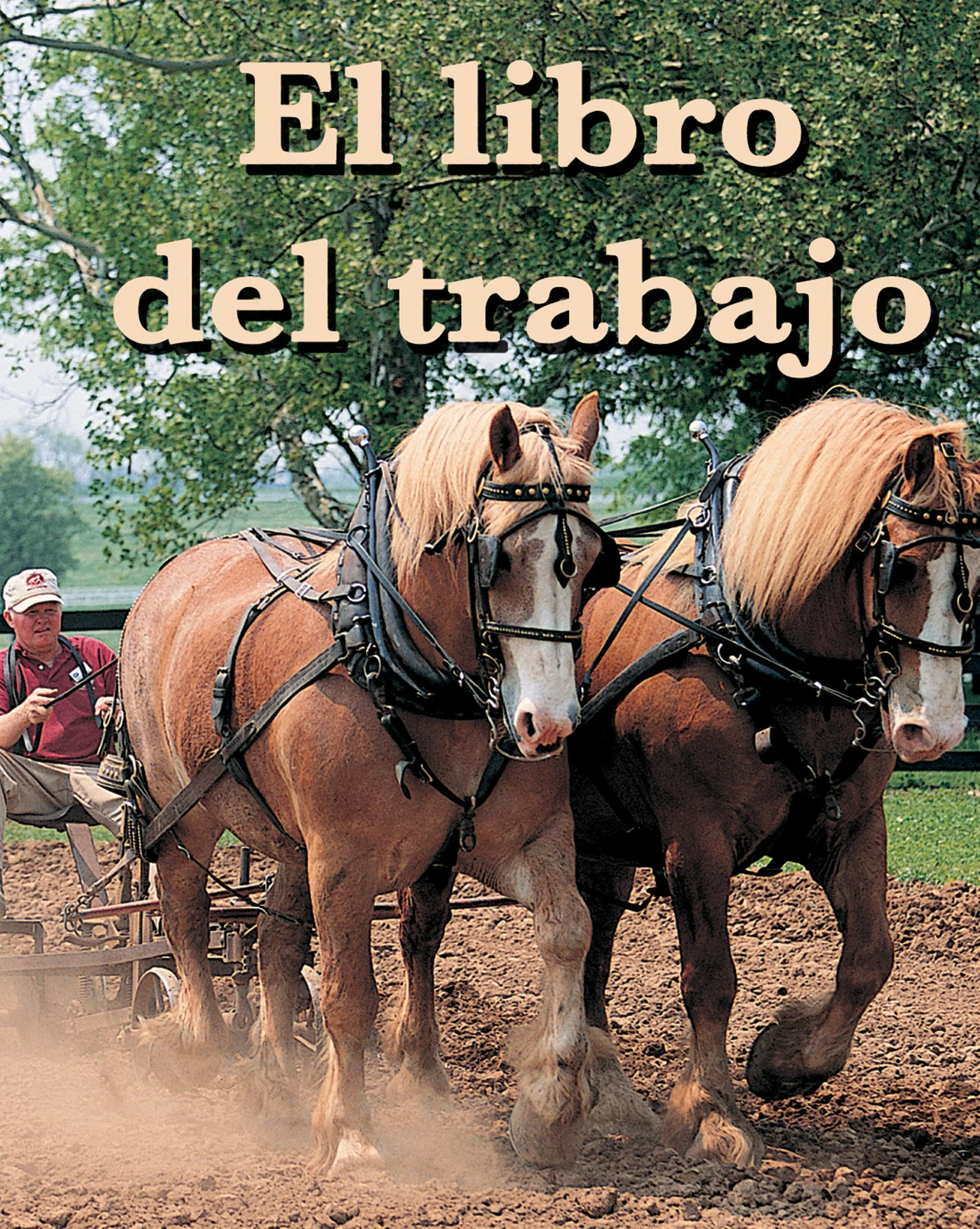 2008 - El libro del trabajo (The Work Book)  (Paperback)