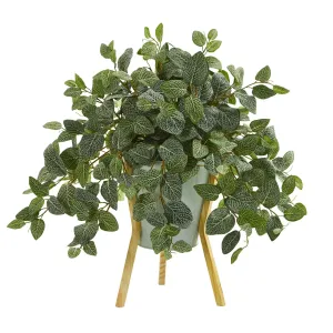 22” Fittonia Artificial Plant in Green Planter with Wooden Legs