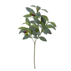 23"  Olive Spray Artificial Plant (Set of 24)