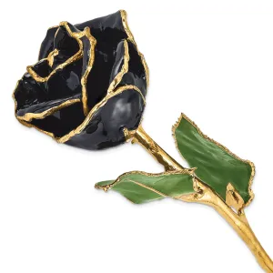 24k Gold Plated Trim Black Rose