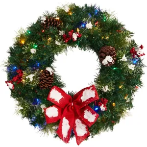 24" Holiday Foliage Artificial Wreath with Multi-Colored LED Lights