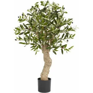 2.5ft. Olive Silk Tree