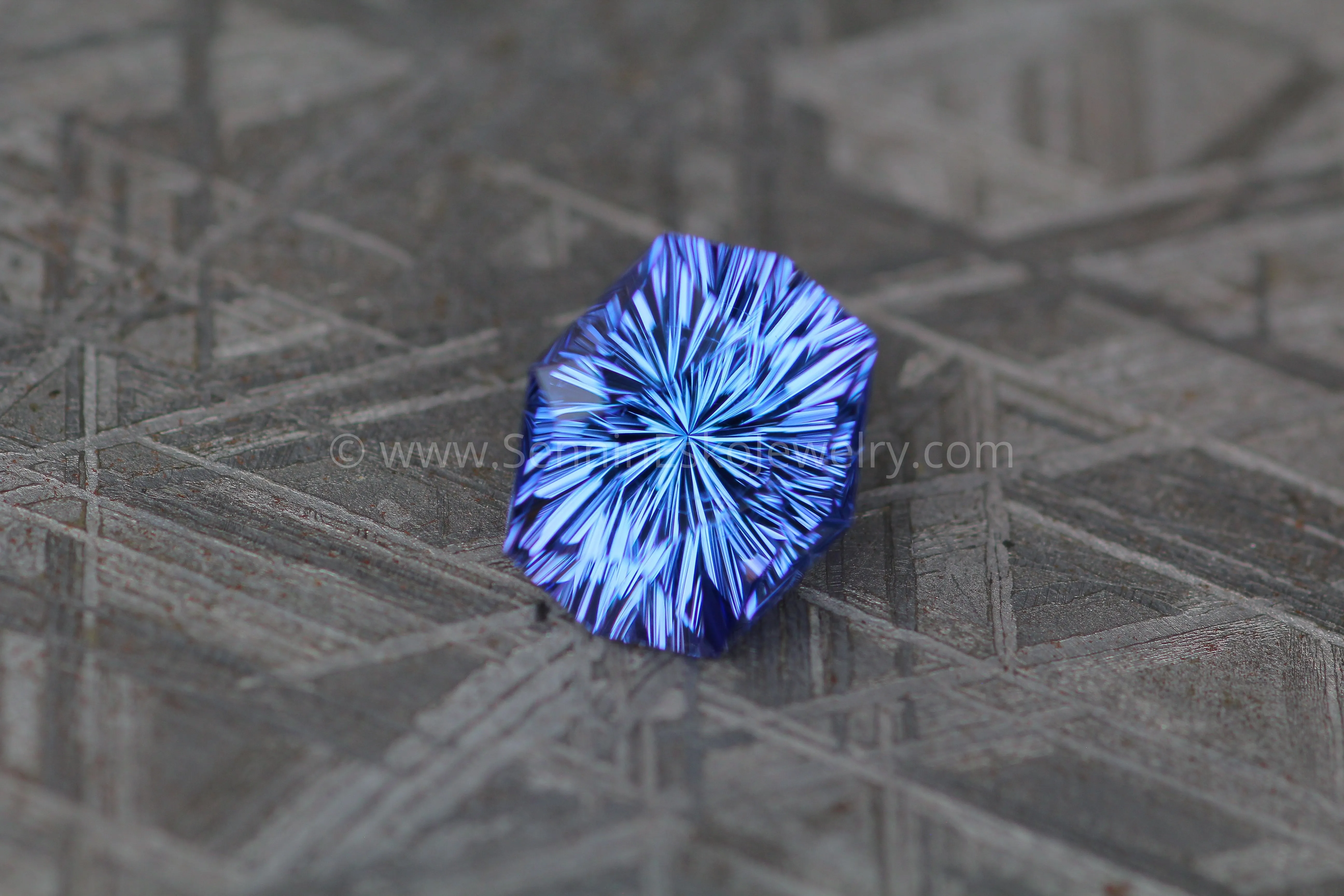 2.8 Carat Blue/Purple Tanzanite Octagon/Cushion - 9.7x8.2mm - Fantasy Cut