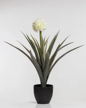 30" Pineapple Plant w/Pot - Coco's Plantation