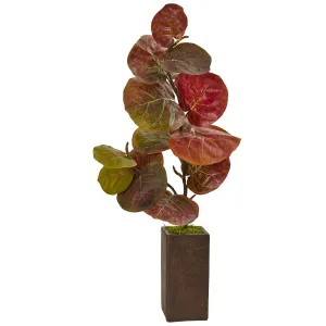 35” Sea Grape Artificial Plant in Weathered Brown Planter