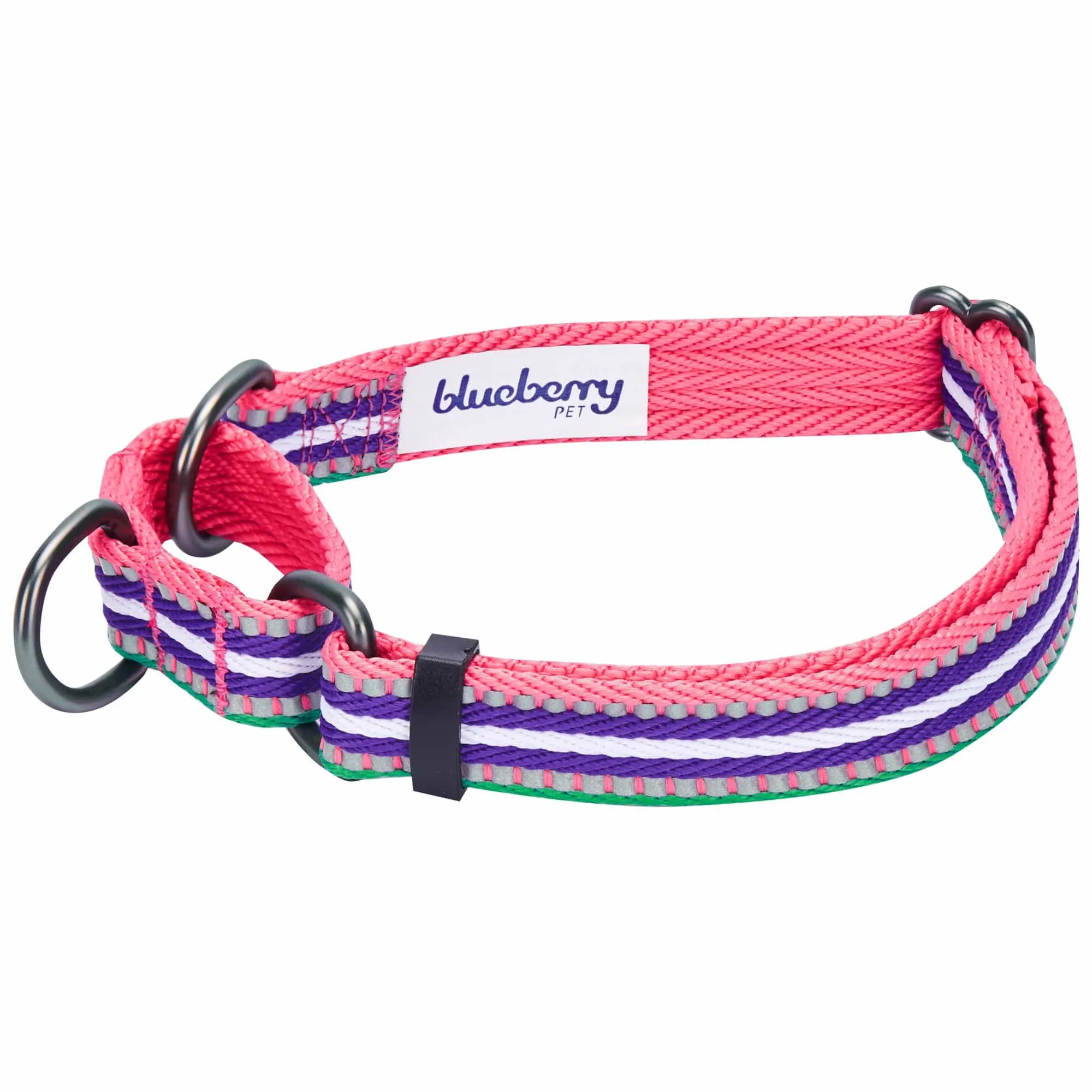 3M Reflective Martingale Safety Training Dog Collar in Multi-colored Stripes