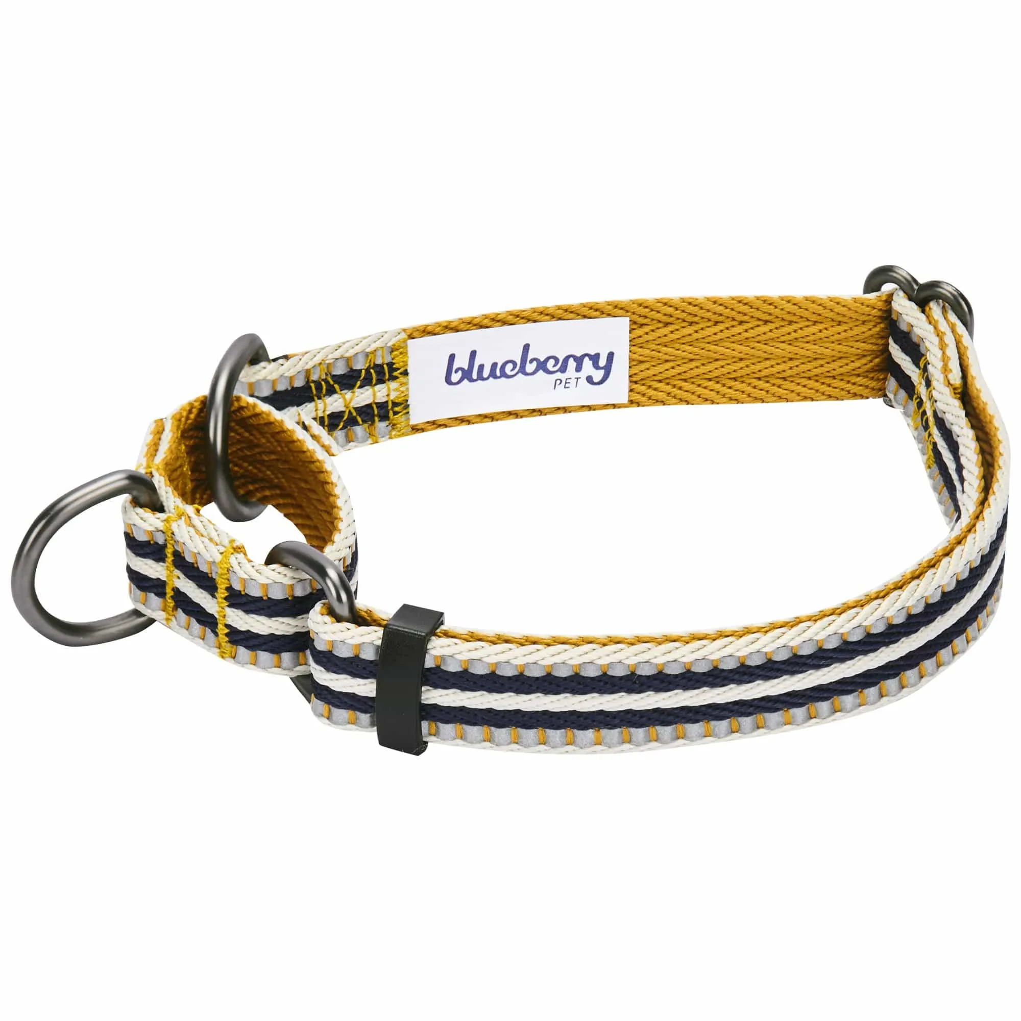 3M Reflective Martingale Safety Training Dog Collar in Multi-colored Stripes