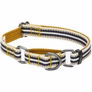 3M Reflective Martingale Safety Training Dog Collar in Multi-colored Stripes