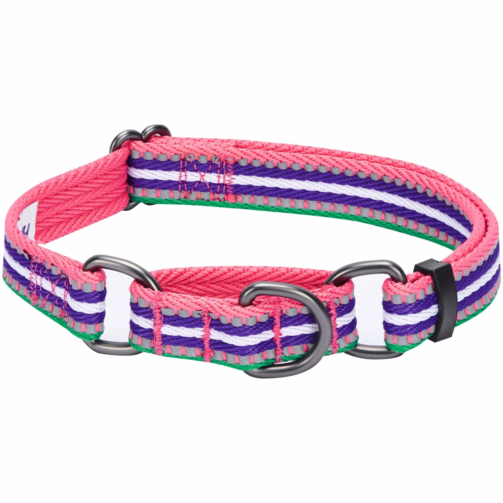 3M Reflective Martingale Safety Training Dog Collar in Multi-colored Stripes