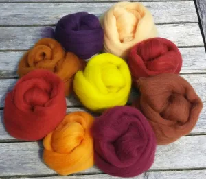 4 oz Autumn Fall 9 color Merino Wool top Sampler Pack - Spin, Felt, Crafts Fast Shipping, Wool Mix, Mixed color wool