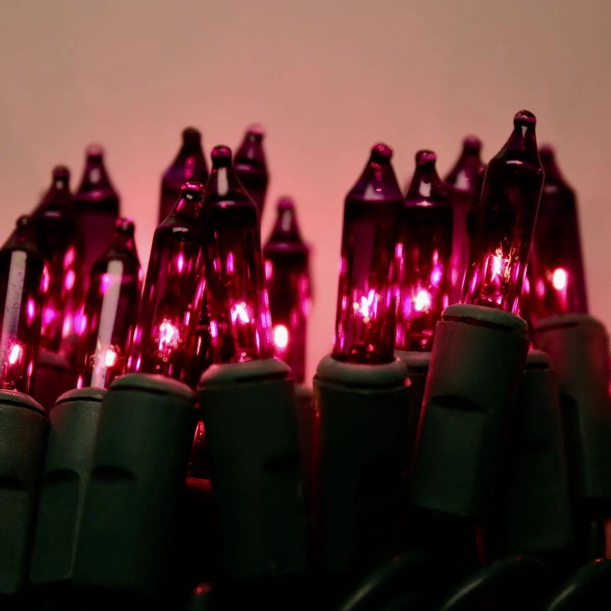 50-bulb Purple Mini Lights, 2.5" Spacing, Green Wire