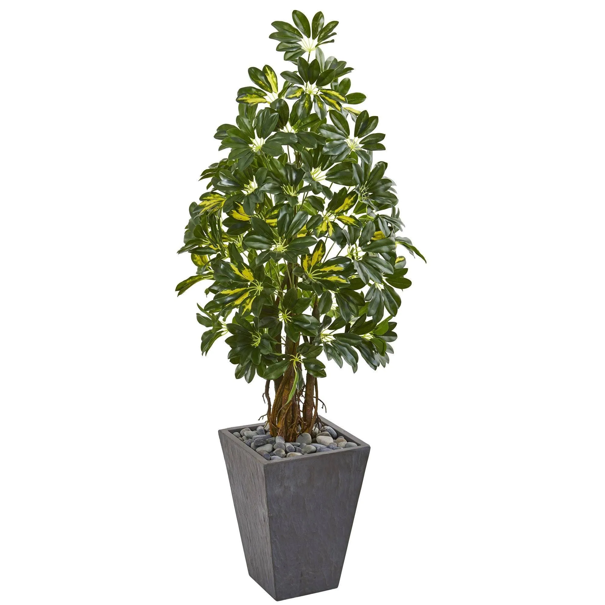 57” Schefflera Artificial Tree in Slate Planter