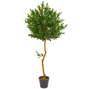 58" Artificial Olive Topiary Tree UV Resistant (Indoor/Outdoor) - Low Maintenance, Life-Like & Vibrant Silk Trees For Busy People.