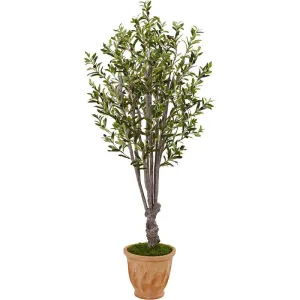 5ft. Olive Artificial Tree in Terracotta Planter