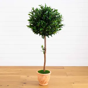 63” Olive Topiary Artificial Tree in Terra Cotta Planter (Indoor/Outdoor)