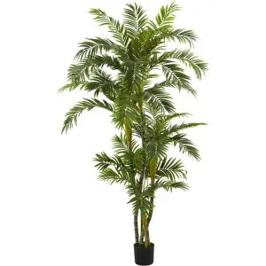 6ft. Curvy Parlor Palm Silk Tree