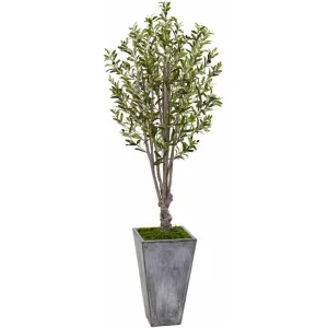 6ft. Olive Artificial Tree in Stone Planter