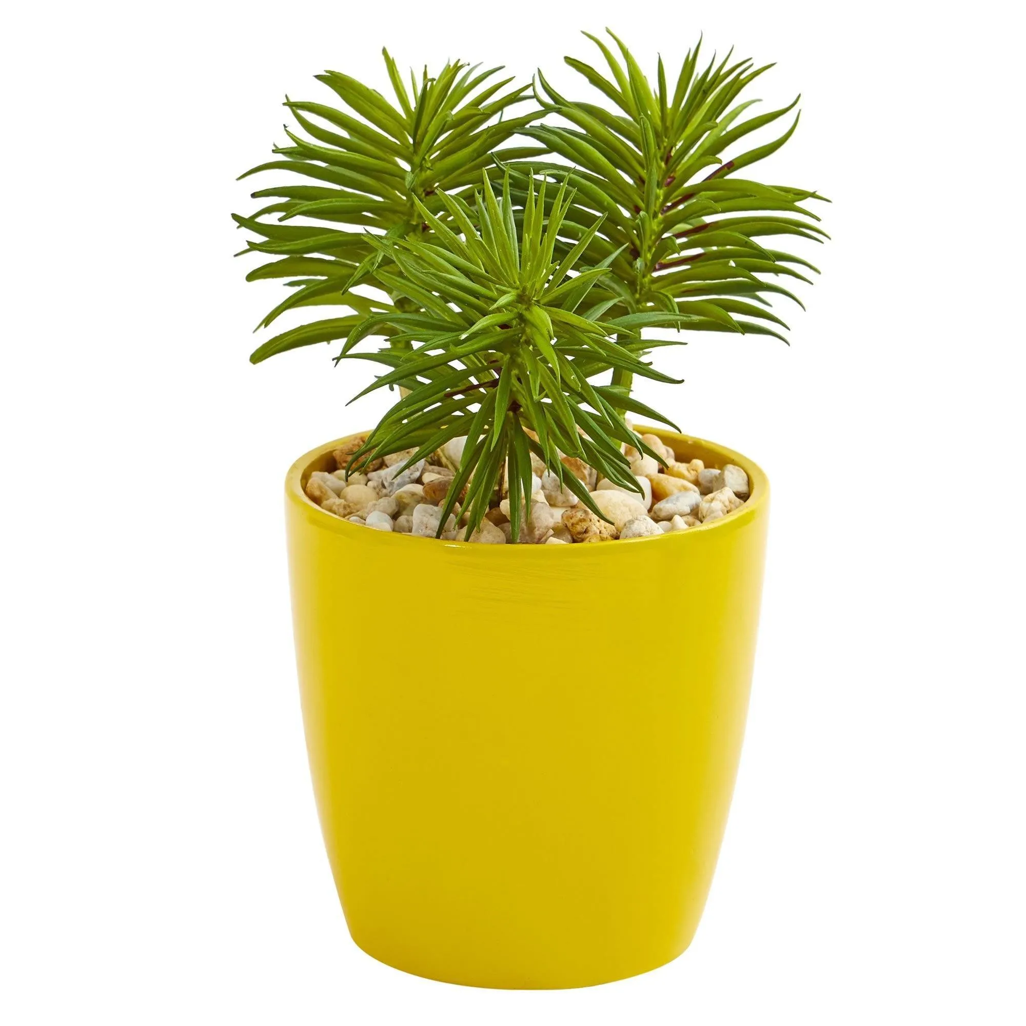 9” Mixed Succulent Artificial Plant in Yellow Vase (Set of 3)