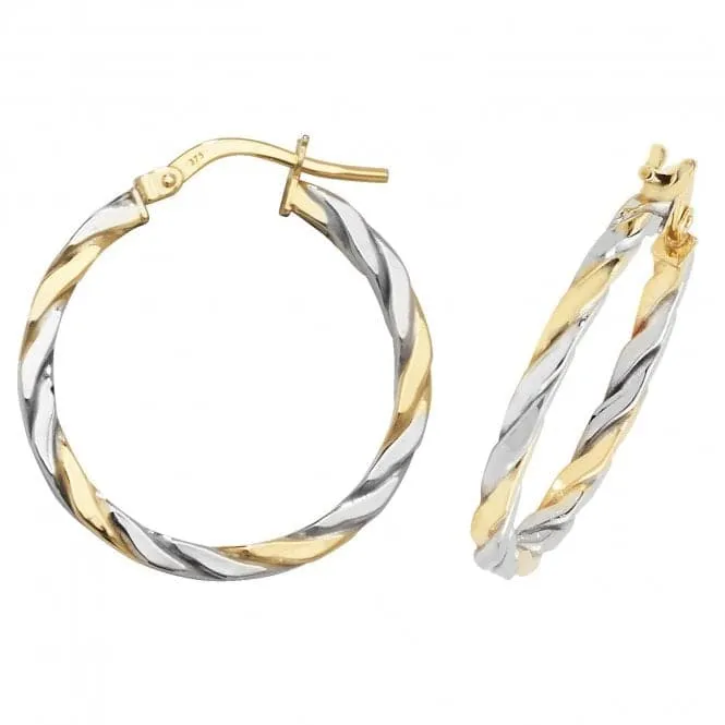 9ct Yellow & White Gold Oval Hoop Earrings ER1041YW