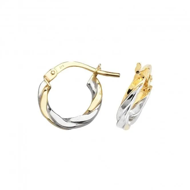 9ct Yellow & White Gold Oval Hoop Earrings ER1041YW