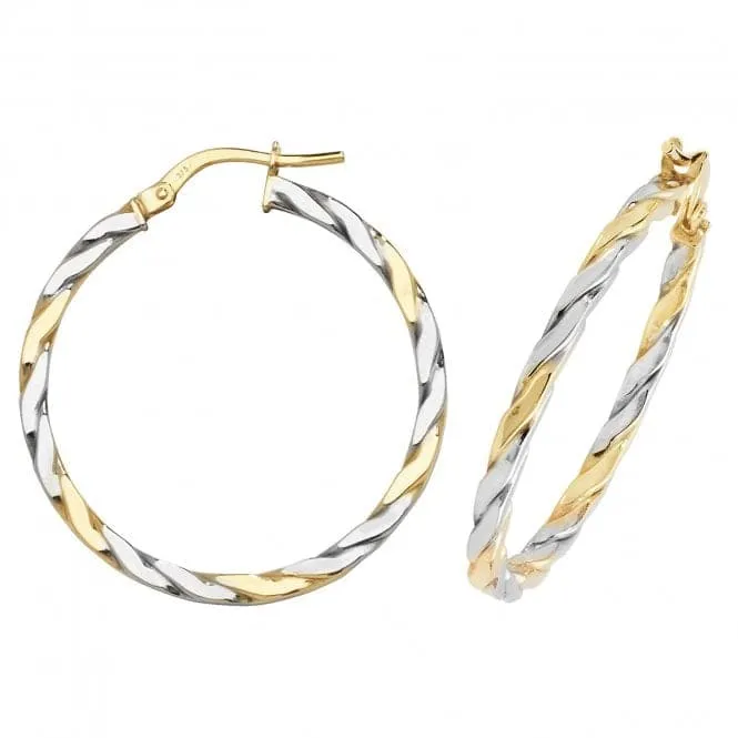 9ct Yellow & White Gold Oval Hoop Earrings ER1041YW