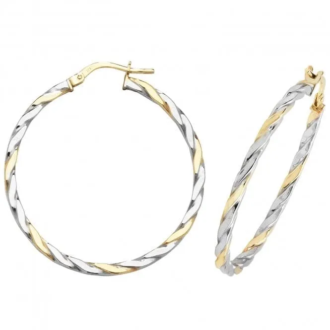 9ct Yellow & White Gold Oval Hoop Earrings ER1041YW