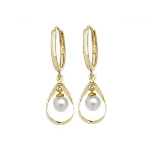 9ct Yellow Gold Drop Earrings ERR1135