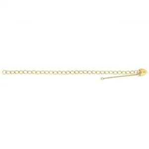 9ct Yellow Gold Ladies Charm Bracelet BR103