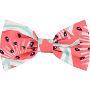 A DEE - Evangeline Watermelon Hair Bow - Red