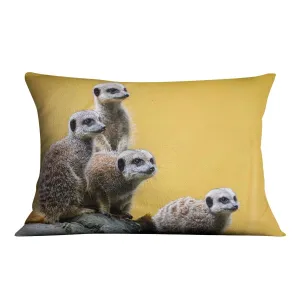 A group of meerkats seen on top of a rock Cushion