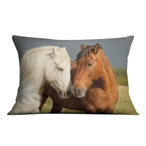 A pair of horses showing affection Cushion